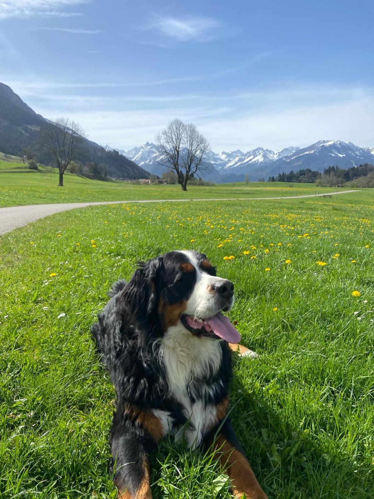 Hemerhof - Ferienwohnungen Oberstdorf Bagian luar foto
