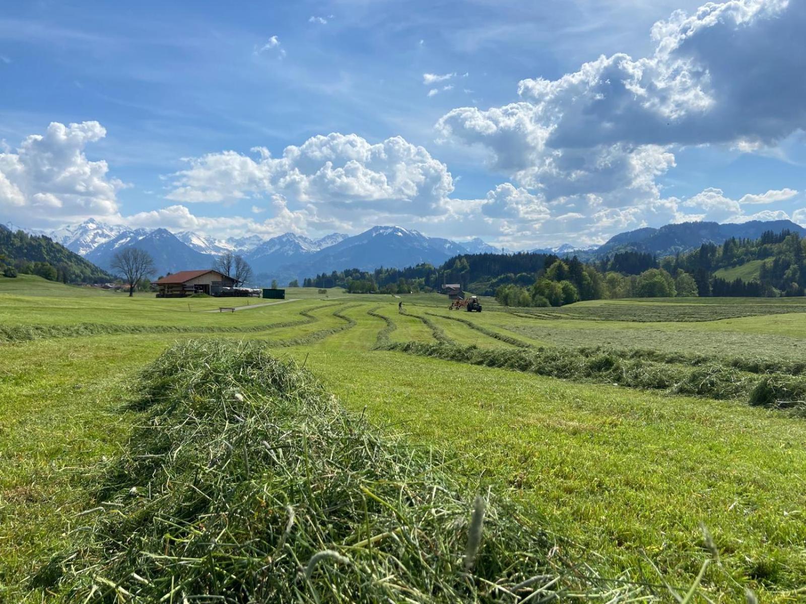 Hemerhof - Ferienwohnungen Oberstdorf Bagian luar foto