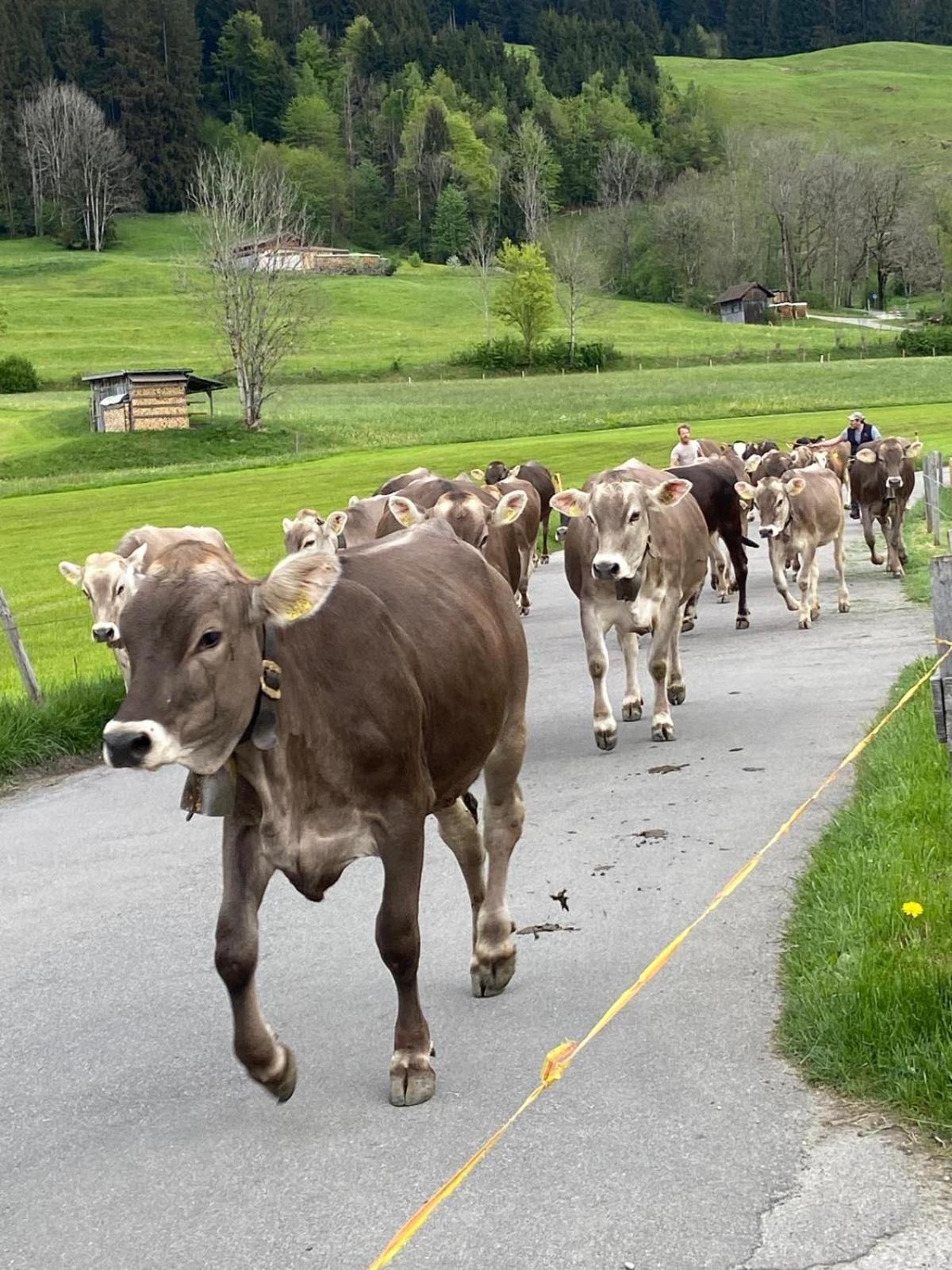 Hemerhof - Ferienwohnungen Oberstdorf Bagian luar foto