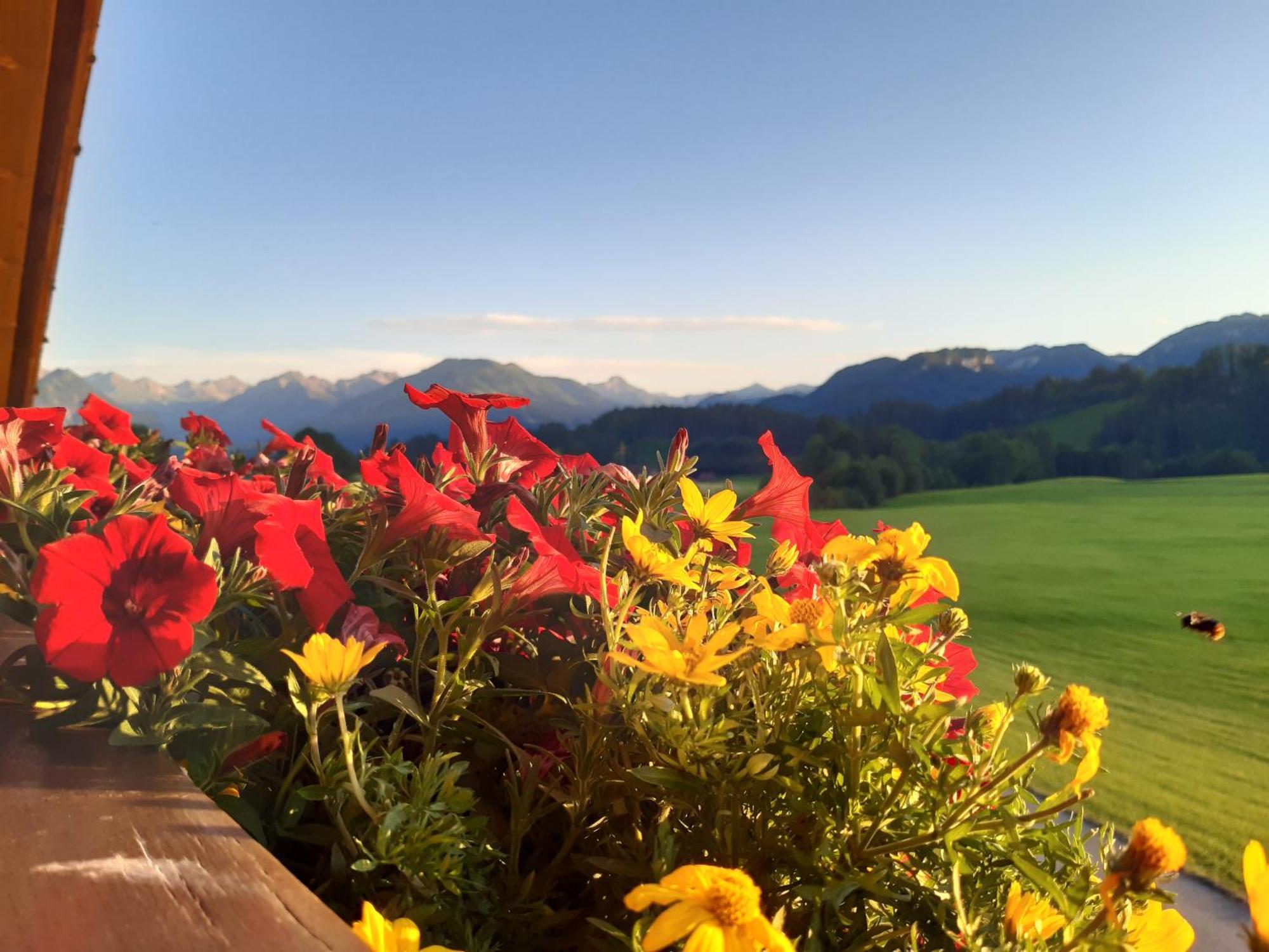 Hemerhof - Ferienwohnungen Oberstdorf Bagian luar foto