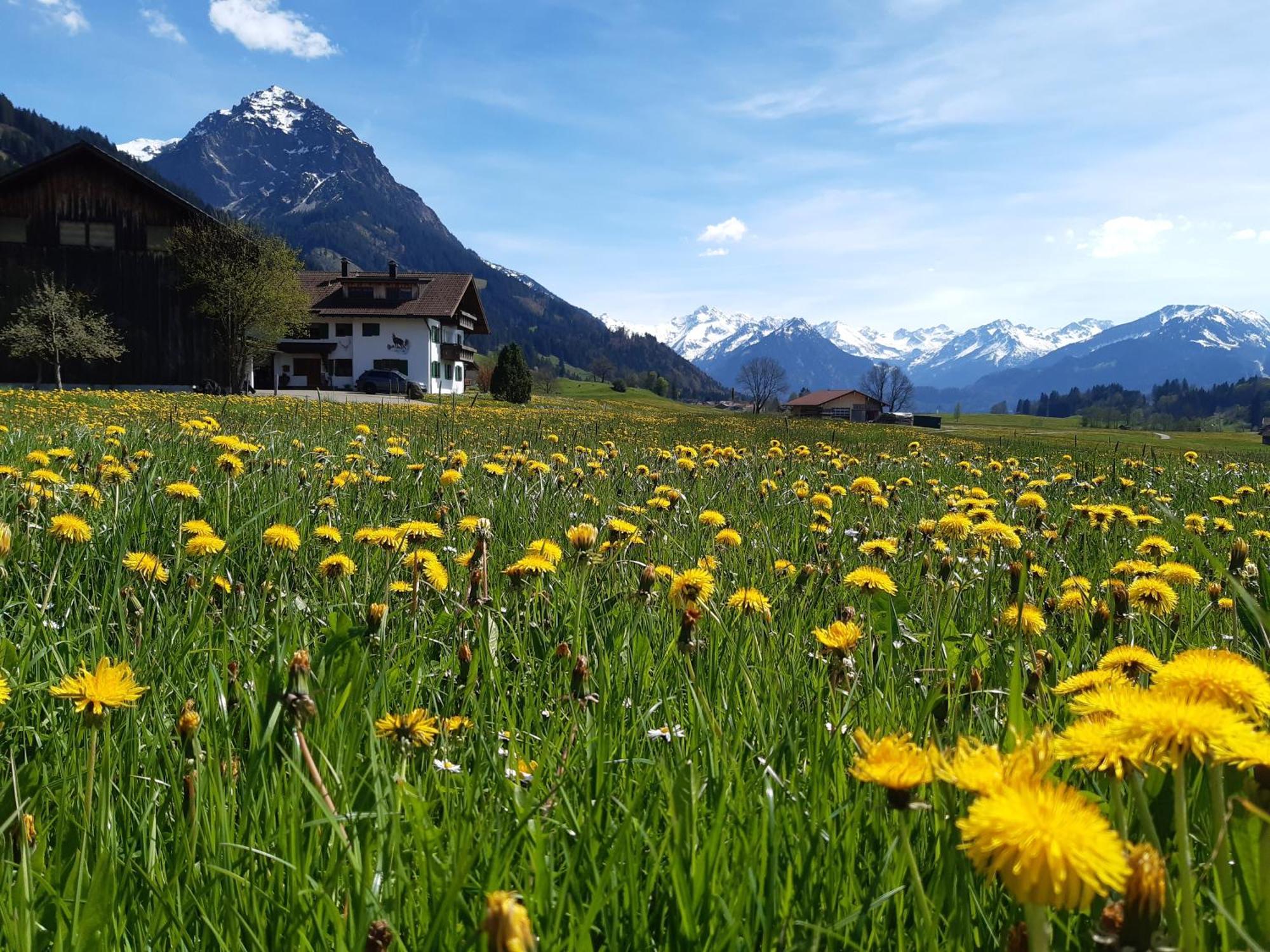 Hemerhof - Ferienwohnungen Oberstdorf Bagian luar foto