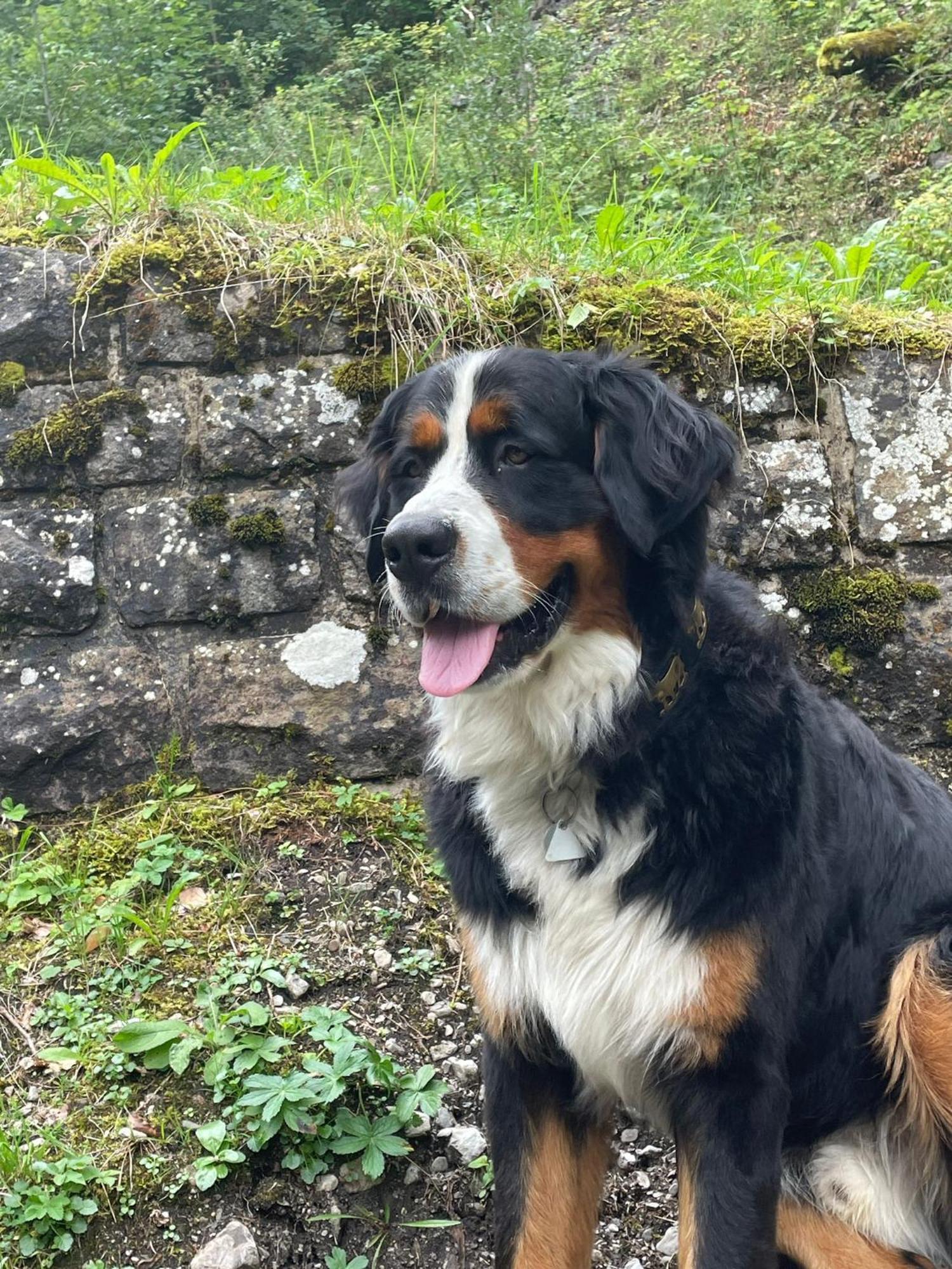 Hemerhof - Ferienwohnungen Oberstdorf Bagian luar foto